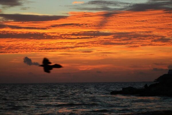 RLH Properties se convierte en la empresa hotelera más grande en México